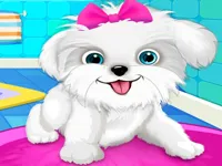 Puppy: Pet Salon  amp;amp; Dog Daycare